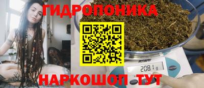 хмурый Аргун