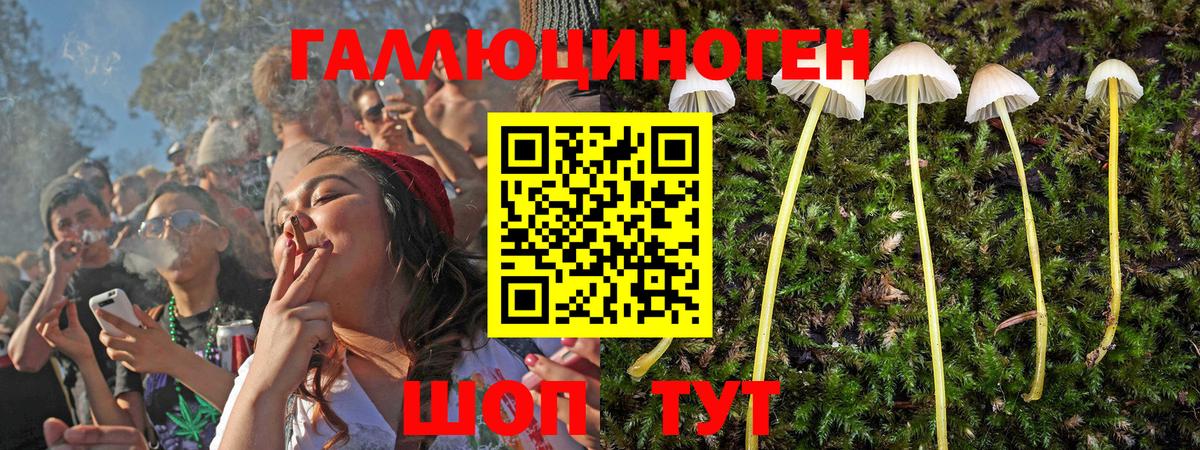 Галлюциногенные грибы мухоморы Ачинск
